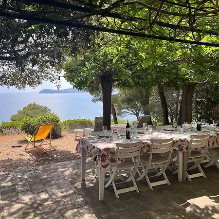 Nouveau : Front De Mer Avec Acces Plage Villa La Croix-Valmer